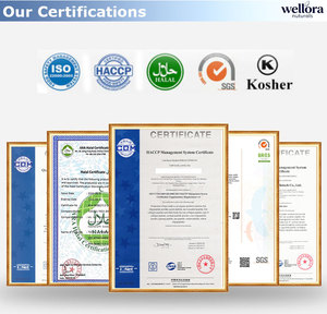 Fabricante de Cápsulas de Extracto de Musgo Marino con Certificación GMP - Suplemento Herbal de Musgo Marino Irlandés de Alta Potencia - Fórmula Personalizada al por Mayor - Product Image 5