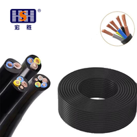 Câble flexible parallèle Hongsheng RVV 5 conducteurs en cuivre toronné 300/500V avec isolation et gaine en PVC pour câblage de bâtiments/maisons