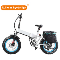 250W bicicleta eléctrica grasa bicicleta plegable marco con doble suspensión