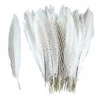 Plumes de faisan argenté naturelles, longues, en vrac, pour décoration de costumes, vente en gros