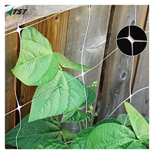 Hot sell 5ft x 15ft Heavy Duty Plant Support Garden Trellis Netting