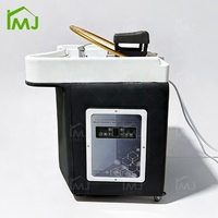 Mobilier commercial pour salon de coiffure : Équipement de spa capillaire, lavabo portable pour le lavage des cheveux