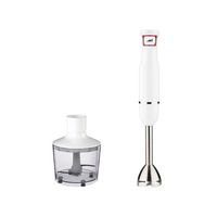 Mini mixeur plongeant sans fil professionnel RSC pour cuisine domestique, puissant et portable, avec fonction presse-agrumes, modèle HB024