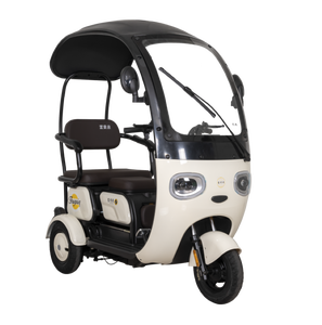 Tricycle Électrique Adulte FGQ 60V 650W à Châssis Ouvert, 3 Roues, 2 Places, Style Urbain, Loisirs et Shopping Familial - Product Image 3