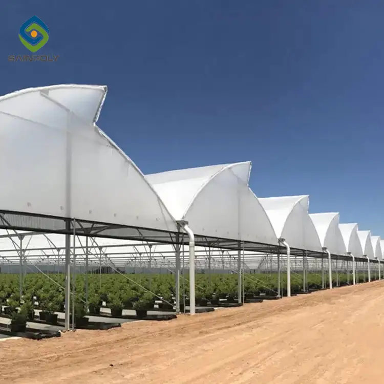 Greenhouse túnel de alta qualidade polyhouse agricultura