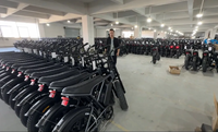 Vélo de montagne à pneus larges de 20 pouces, batterie au lithium 48V 500W 750W, acier central, étanche, pour adultes, fabrication de haute qualité