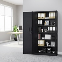 Armoire de rangement en acier à 2 portes, 4 étagères réglables, armoire à dossiers verrouillable pour bureau, maison, salle de sport