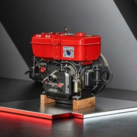 Moteur diesel refroidi par eau Changchai ZS195 12HP 13HP pour tracteur