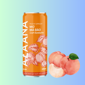 Concentrado de té Kombucha refrigerado estilo Vietnam Premium OEM Sabor a albaricoque y melocotón suave Los mejores refrescos listos para beber - Product Image 1