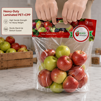 Op maat gedrukte, voedselveilige PET CPP geëmbosseerde fruitverpakkingstas, getextureerde plastic ritssluitingszak voor het bewaren van vers fruit