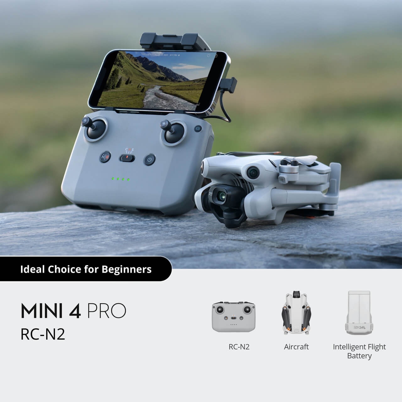 Gris-Mini 4 Pro RC-N2