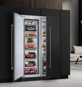 Artaus tích hợp tủ lạnh tủ đông nhựa tích hợp tủ lạnh có tủ để sử dụng trong gia đình và khách sạn - Product Image 2