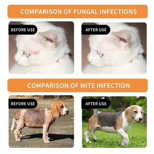 白癬真菌マンジスカビー傷のマグゴプラスチック材料犬に対して効果的なペットグルーミング用ハーブ医学猫シャンプー - Product Image 4