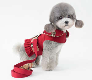 Set Trenchcoat hewan peliharaan unik kelas satu, 100 katun penahan angin cocok <span class=keywords><strong>Harness</strong></span> untuk anjing kucing kecil musim semi - Product Image 4