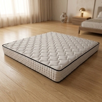 Matelas de lit Willsoon personnalisé gris pour chambre à coucher, taille Queen/King, en mousse haute densité, anti-acariens, hypoallergénique, en mousse à mémoire de forme, adaptable