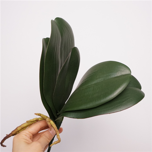 Feuilles d'<span class=keywords><strong>orchidée</strong></span> artificielles en latex de haute qualité, aspect réaliste, pour la décoration murale de Noël, de mariages et de la maison (vente en gros) - Product Image 6