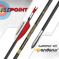 Flèche en carbone pur Pandarus Icepoint ID0.125\" 3.2mm 40 tonnes pour tir à l'arc, flèche de tir sur cible