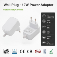 Adaptateur secteur OEM ODM 5V 2A 10W avec prise EU, fabricant d'alimentations à découpage pour systèmes de sécurité CCTV, routeurs et bandes LED