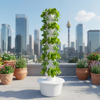 Tour aéroponique pour l'agriculture verticale, système de culture hydroponique pour légumes, tour aéroponique d'intérieur