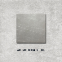 Campagne moderne 60x60 Carreaux antiques mats antidérapants de haute qualité gris ciment Style industriel pour accents de chambre antibactérien