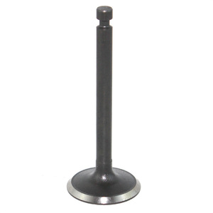 Soupape d'admission pour moteur hors-bord Yamaha 6BX-12111-00 pour moteur à essence 4, 5, 6 CV, pièce de rechange - Product Image 2