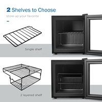 Réfrigérateur et congélateur professionnel, petit format, pour la maison, 20 l, OEM/ODM, 1,1cu pieds
