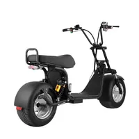 Electric Balance Scooter with Shock Absorber