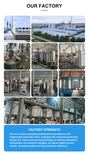 Fabricant OEM, extrait d'algues vertes 100% pur en poudre, <span class=keywords><strong>engrais</strong></span> organique soluble dans l'eau pour l'agriculture - Product Image 5