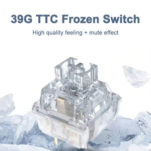 สวิตช์ TTC <span class=keywords><strong>Frozen</strong></span> Switch V2 สำหรับคีย์บอร์ดแบบกลไก แบบเงียบ ไม่มีเสียง 39 กรัม 3 ขา RGB สวิตช์โปร่งใส - Product Image 2