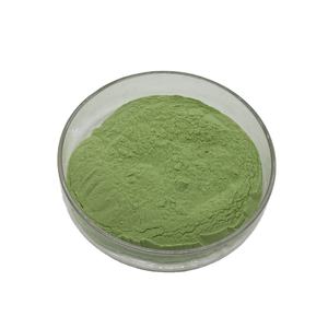 100% pura foglia di menta piperita estratto in polvere di pepe di alta qualità menta in polvere - Product Image 1