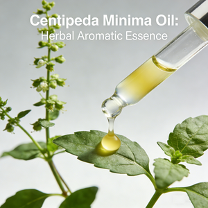 Venta Directa de Fábrica, Mayorista de Aceite de Centipeda Minima, Aceite Esencial de Centipeda Minima 100% Natural, Proveedor a Granel de Aceite de Hierba de <span class=keywords><strong>Ganso</strong></span> - Product Image 2