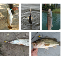 Appâts artificiels faits à la main en plastique ABS Nouveau design Longue lèvre Appâts de plongée profonde Leurre de pêche à l'achigan Pesca Crankbait Leurre de pêche