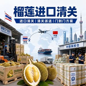 Despacho de Aduanas e Importación de Durian Jinming, Almacenamiento en Cadena de Frío, Distribución de Tailandia a China, LCL Express - Product Image 3
