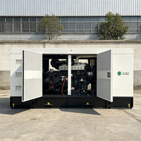 Générateur diesel haute efficacité 300 kW triphasé 400 kVA silencieux avec volant d'inertie, alimenté par un moteur Ricard refroidi par eau
