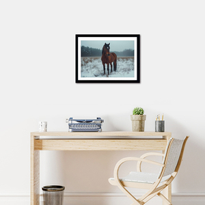 Impression sur toile moderne de cheval <span class=keywords><strong>solitaire</strong></span> suspendu en hiver, présence majestueuse, champs enneigés, décoration murale, 40x50cm, plusieurs couleurs - Product Image 3