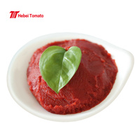 Double Concentré de Tomate en Sachet Doypack, Pâte de Tomate Rouge Fraîche 22-24% de Concentration, 70g, Durée de Conservation 2 Ans