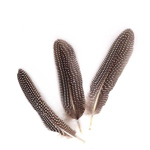 Alas <span class=keywords><strong>de</strong></span> búho <span class=keywords><strong>de</strong></span> <span class=keywords><strong>Guinea</strong></span> para manualidades, plumas <span class=keywords><strong>de</strong></span> 6-8,4 pulgadas (15-21 cm) con patrón Natural, <span class=keywords><strong>precio</strong></span> barato <span class=keywords><strong>de</strong></span> fábrica, DIY - Product Image 5