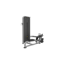 Machine d'entraînement rotative du tronc à charge par aiguille. Appareil d'exercice pour la rotation de la taille en position assise / équipement de renforcement du tronc