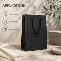 Sac cadeau en papier noir personnalisé, directement de l'usine, avec poignées en corde, pour baskets, mode et emballage de détail haut de gamme