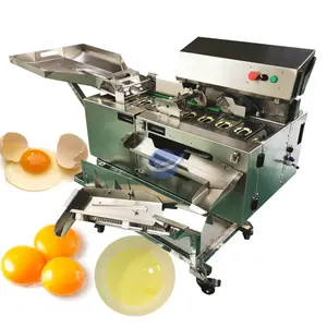 Línea completa de procesamiento de huevos líquidos, carga de huevos, lavado en seco, maquinaria de producción de separación