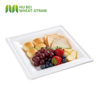 Assiette carrée jetable en bagasse 8x8 pouces sans BPA, robuste, biodégradable, écologique, de qualité alimentaire, pour fêtes, steak et dessert