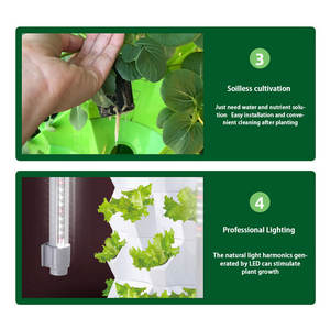 Systèmes de culture hydroponique, tour de jardinage verticale pour la maison, jardinière avec lumière LED, culture hydroponique - Product Image 3