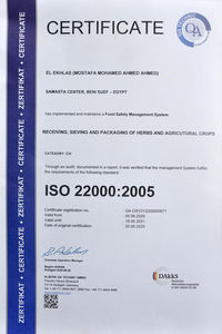 Venta directa de fábrica Semillas de anís de alta calidad Especias y hierbas individuales populares de Egipto - Product Image 6