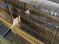 Fil d'écran d'insecte de fibre de verre de haute qualité plâtrant la machine de tissage de maille