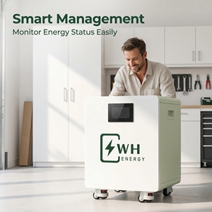 Sistema di Accumulo Energia Solare Domestico 25.6V 8kWh 314AH Batteria al Litio LiFePO4 <span class=keywords><strong>Ricaricabile</strong></span> con Rulli Verticali e Impilamento Orizzontale - Product Image 4