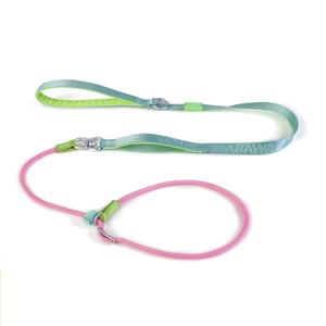 Correa para Perros de Neopreno y Poliéster, Estilo Nuevo, Duradera, Personalizada, al por Mayor, con Cadena, Correa Deslizante para Exhibición Canina con Dos Asas - Product Image 4