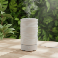 Nouveauté : Diffuseur d'huiles essentielles en céramique au design simple, humidificateur ultrasonique électrique portable pour table, diffuseur d'arômes lumineux