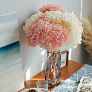 <span class=keywords><strong>Hortensias</strong></span> Naturales Grandes Secas y <span class=keywords><strong>Preservadas</strong></span> a Precio Económico para el Día de San Valentín, <span class=keywords><strong>Hortensias</strong></span> Secas para tu Ocasión Especial - Product Image 4