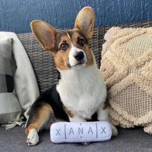 Jouet en peluche pour chien blanc, jouet à mâcher durable, jouet couineur pour animaux de compagnie, utilisation en extérieur - Product Image 4