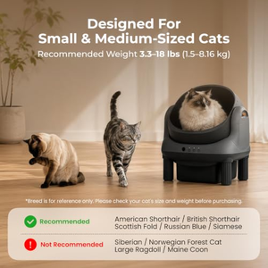 Bac à litière pour chat automatique avec caméra HD 1080P, suivi du comportement du chat, toilette pour chat sans odeur, IA, 2.4G, bac à litière autonettoyant - Product Image 4